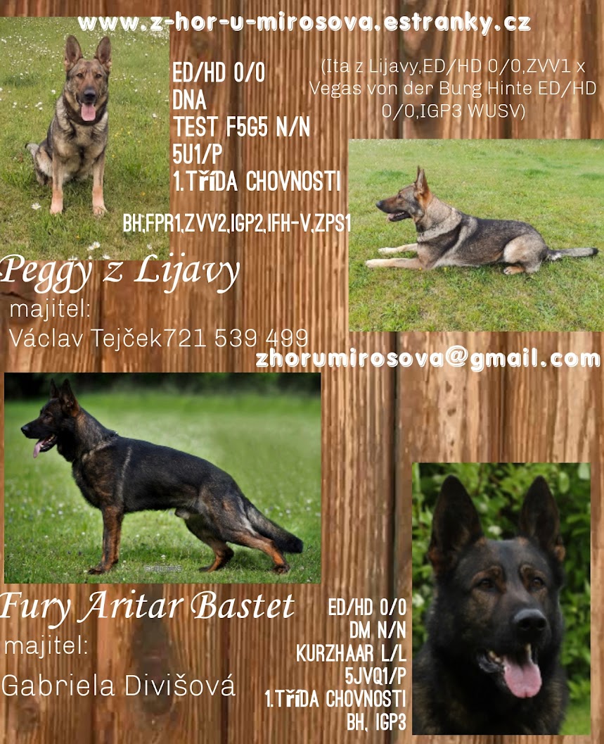 flyerdesign_12082021_220539