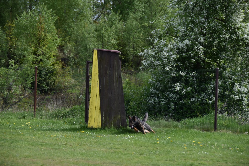DSC_0770