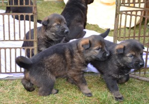 dsc_0025.jpg